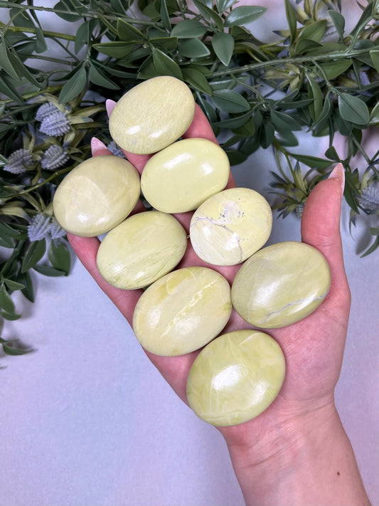 Serpentine Palms, India (8 options)