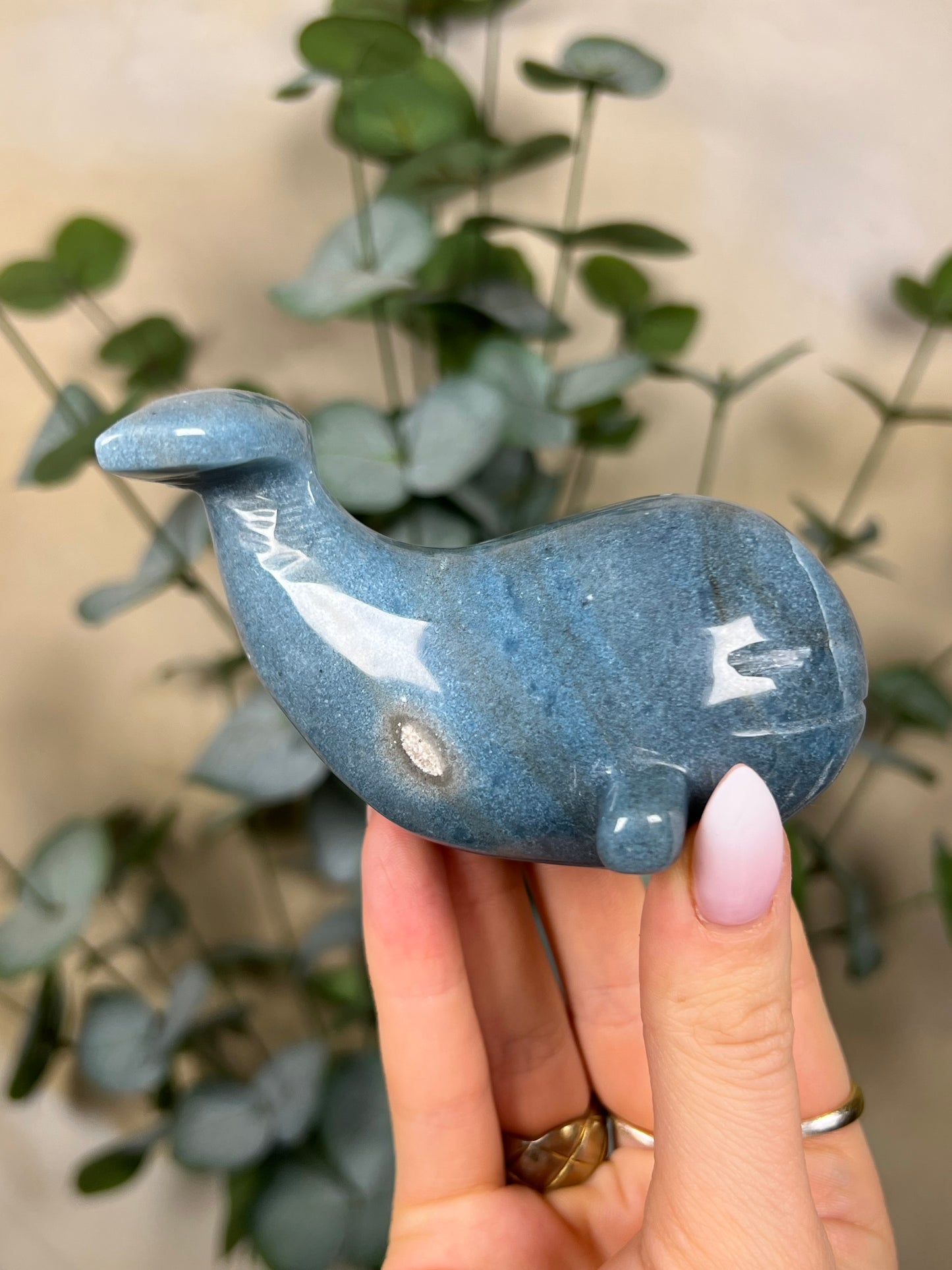 Trolleite Whale (120ED)