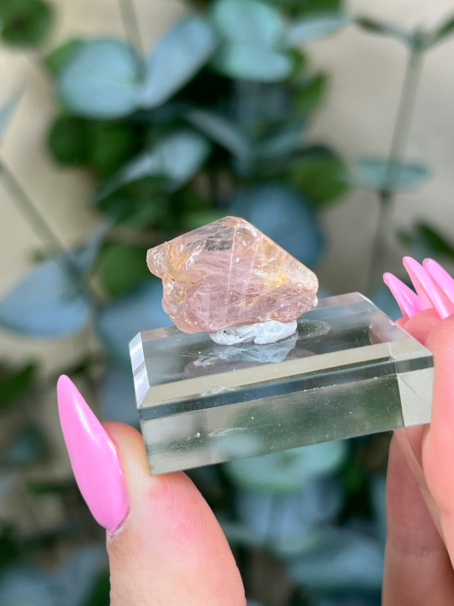 Pink Apatite (20AM)