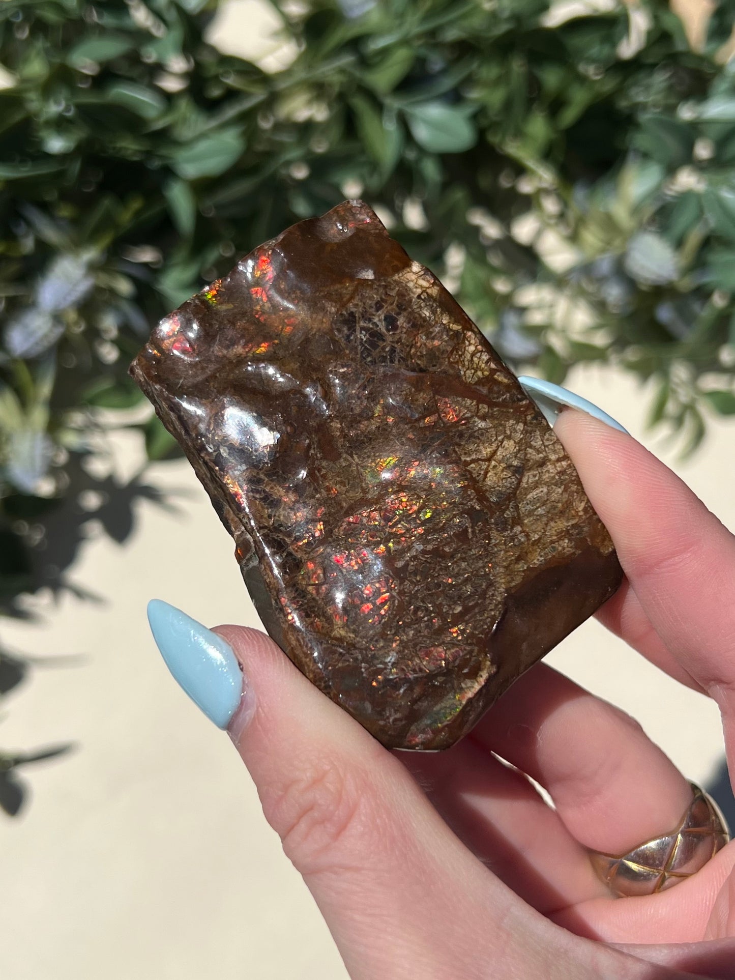 Ammolite (45AE)