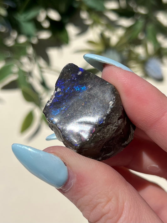 Ammolite (13AH)