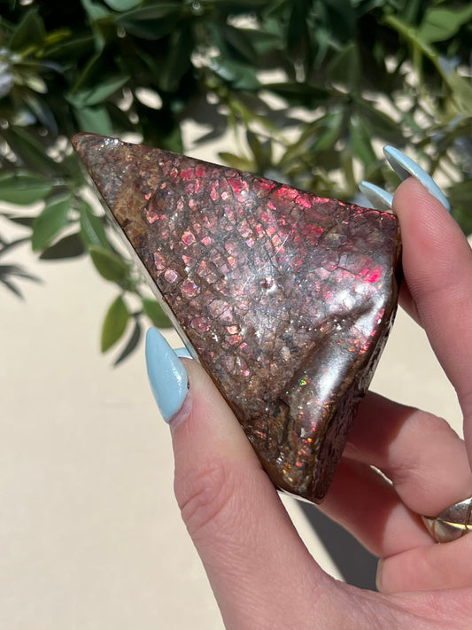 Ammolite (52AB)