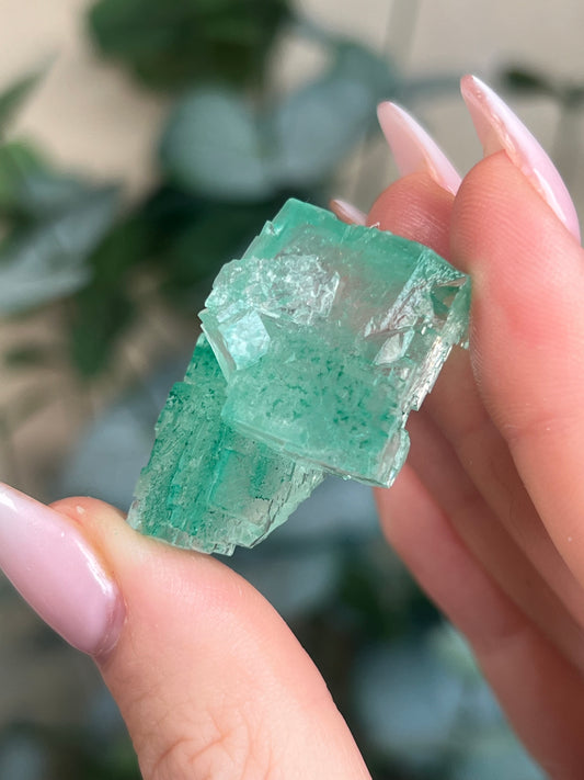 Green Halite with Display Block (55KX)