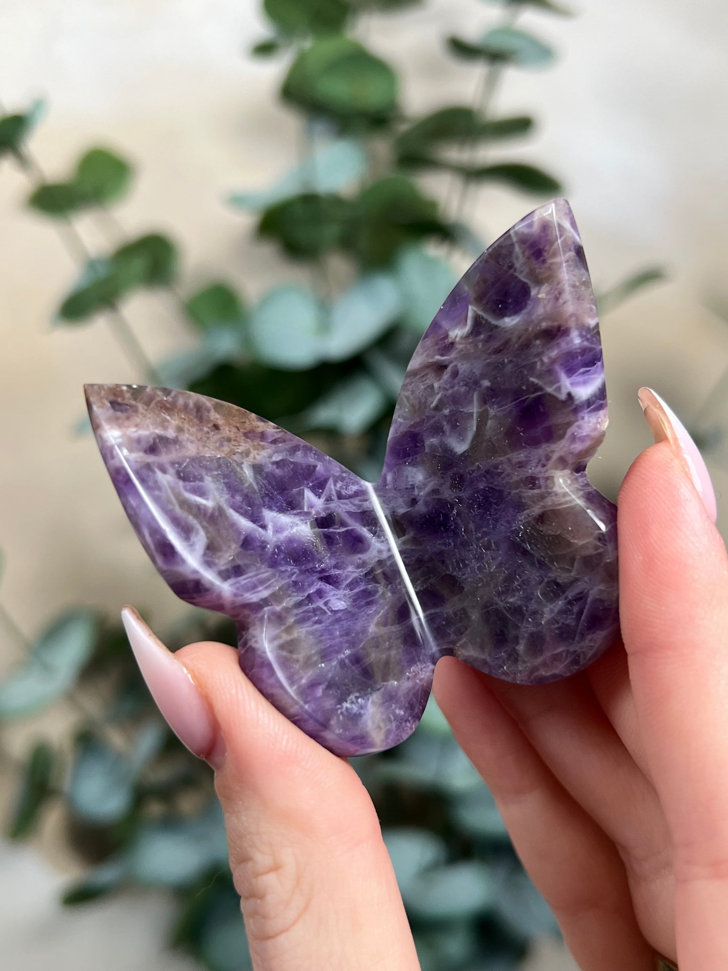 Amethyst Butterflies