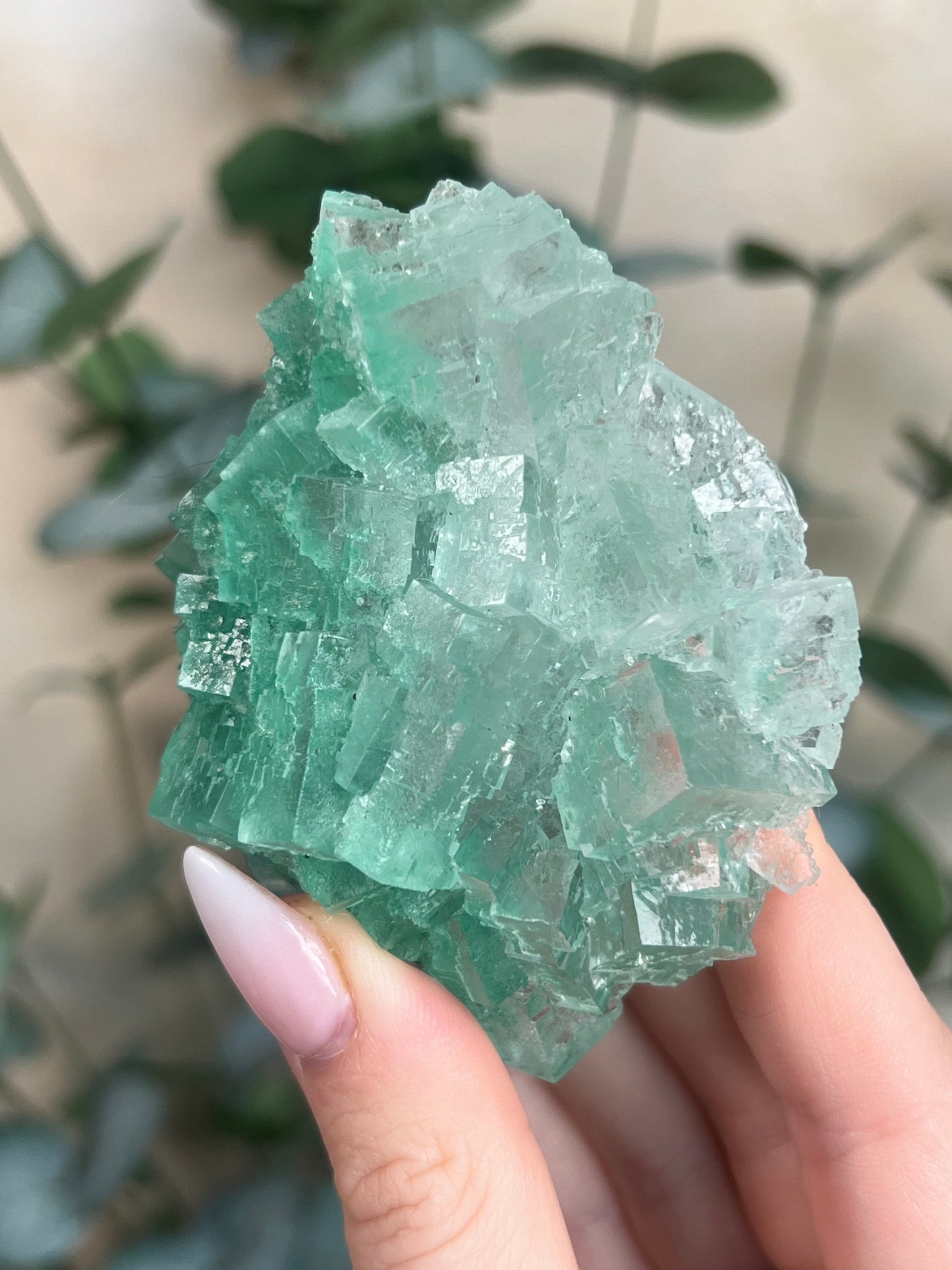 Green Halite with Display Stand (137KB)