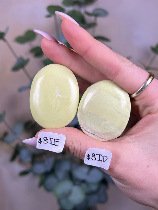 Serpentine Palms, India (8 options)