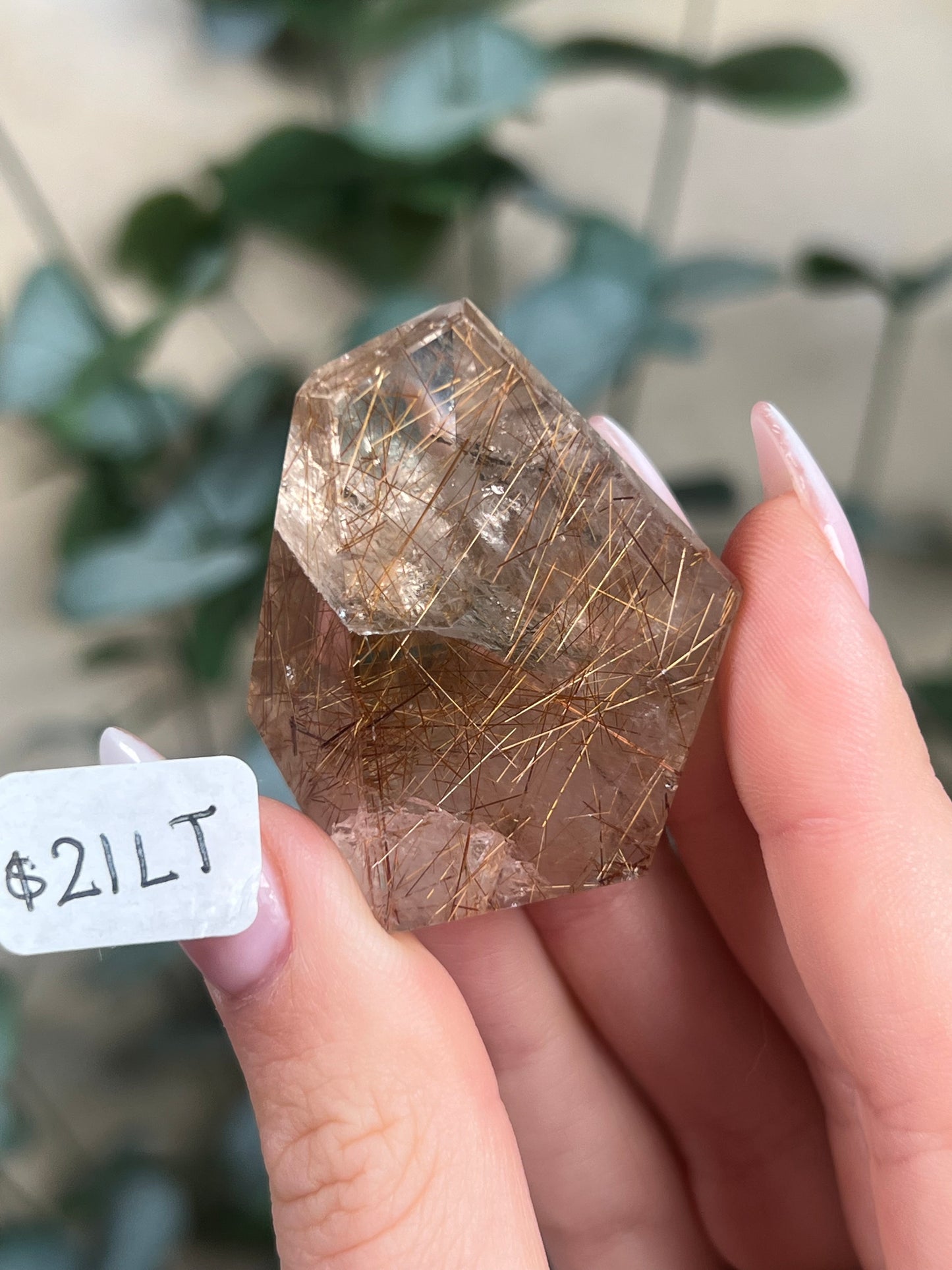 Rutilated Quartz Freeforms (6-21, 10 options)