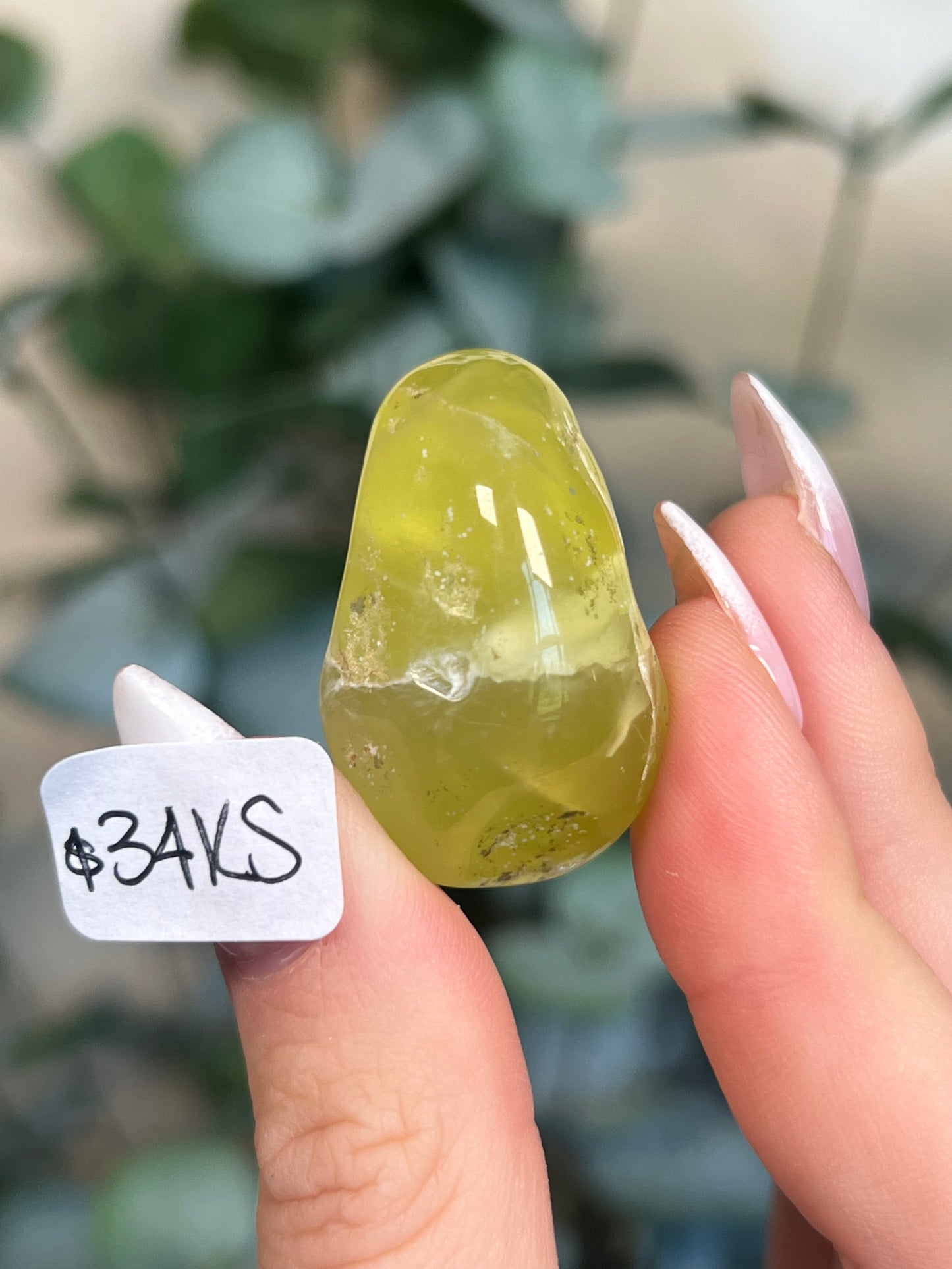 Australian Prehnite Polished (32-34, 4 options)