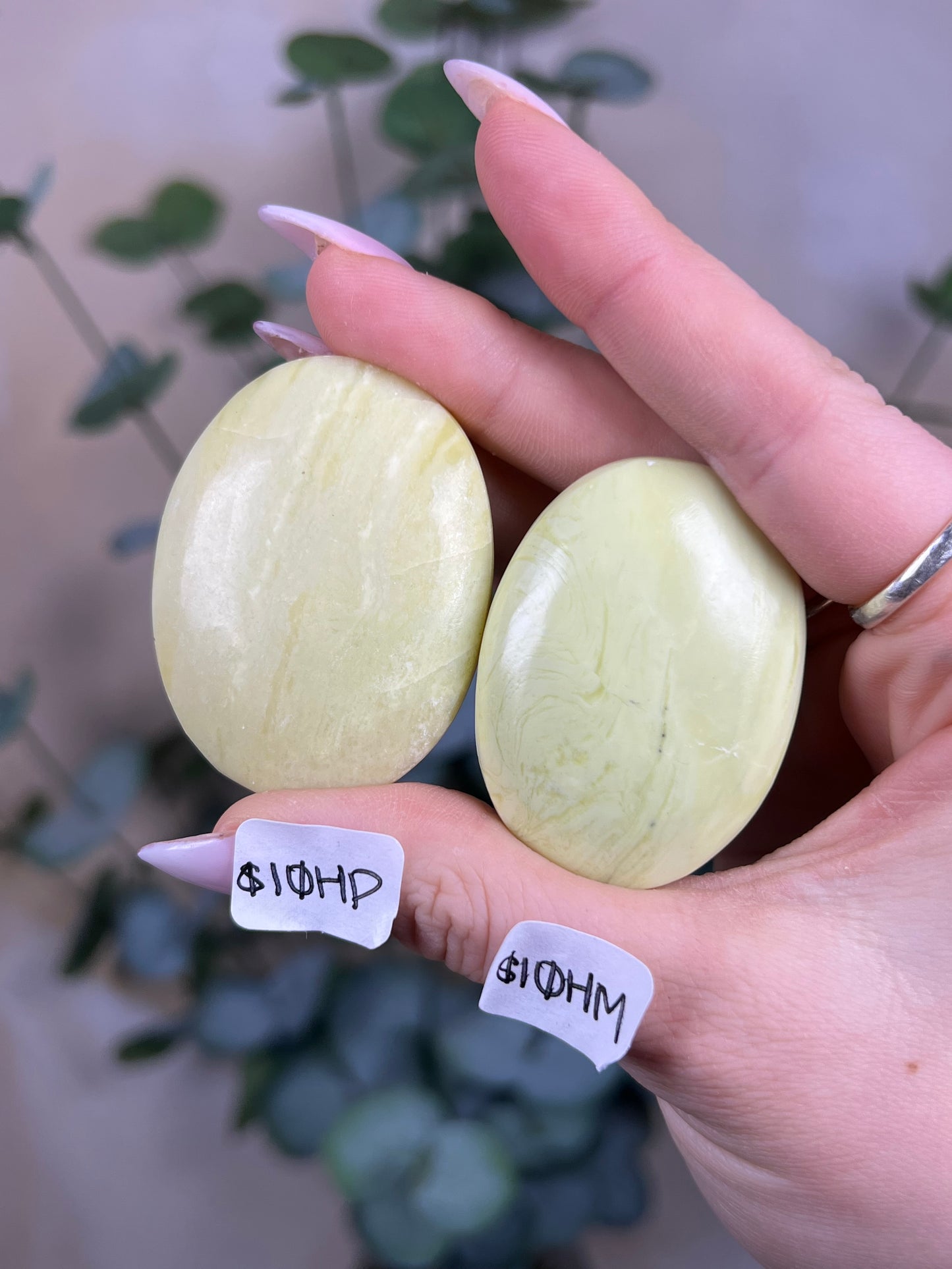 Serpentine Palms, India (8 options)