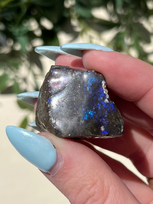 Ammolite (13AH)