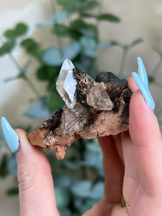 Durango Selenite (51EA)