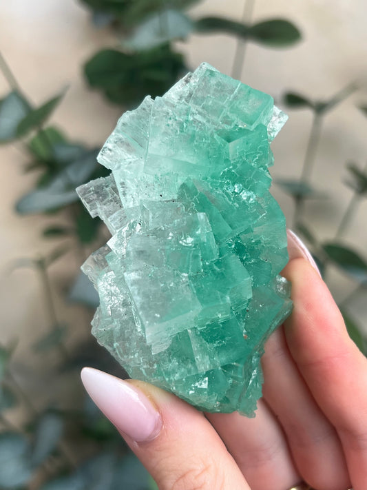 Green Halite with Display Stand (151KA)