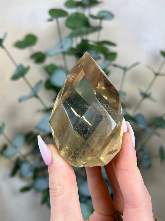 Quartz Faceted Freeform (119EB)
