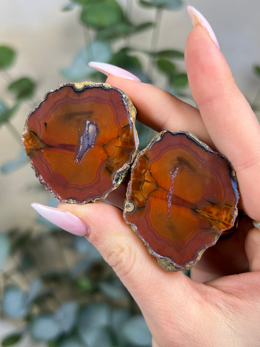 Condor Agate Pair (34FP)