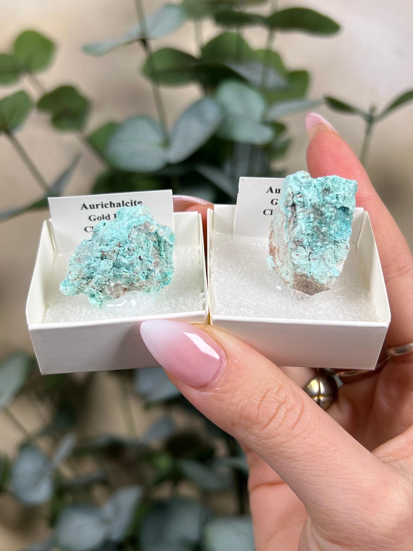 Aurichalcite Specimen - Nevada