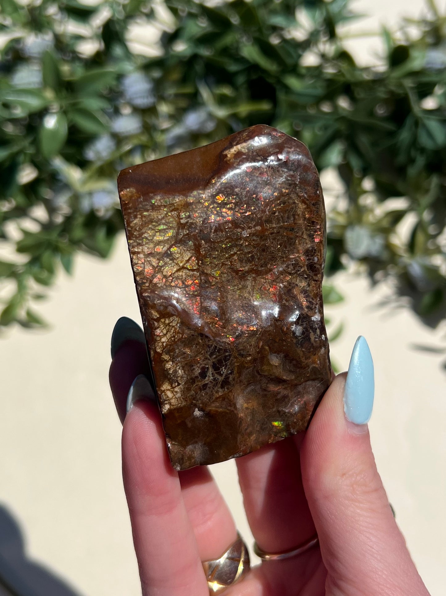 Ammolite (45AE)