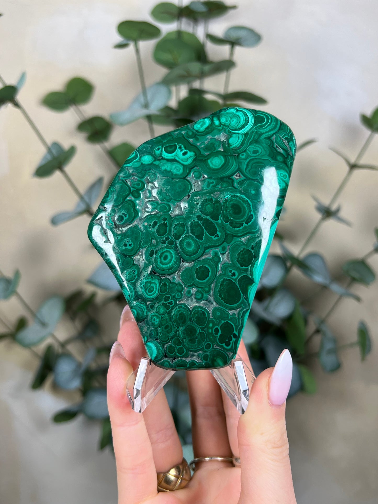Malachite Polished (43EU)