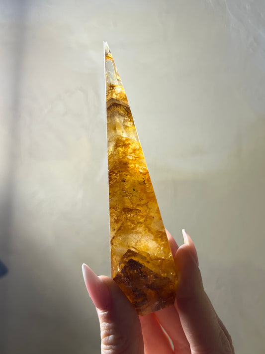 Golden Healer Point (37FE)