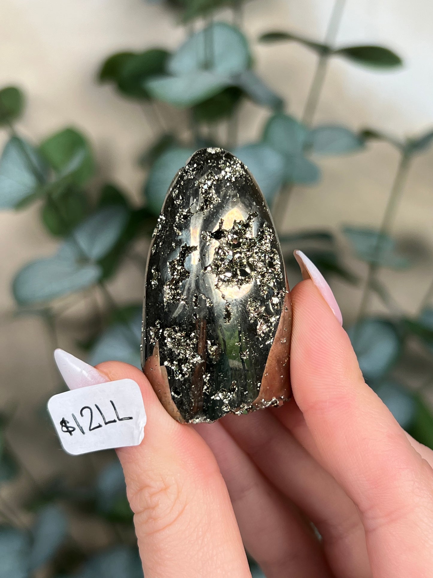 Pyrite Freeform (8-12, 8 options)