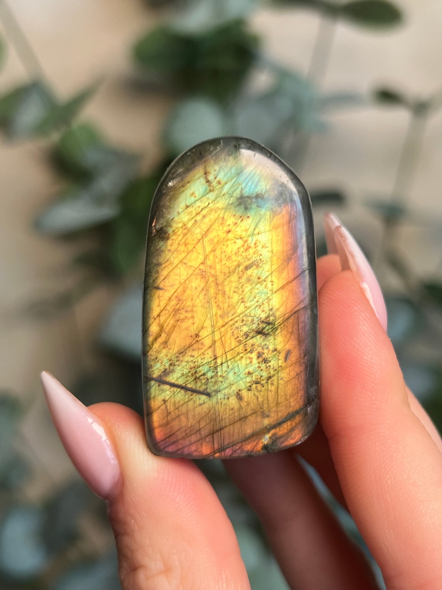 Labradorite Freeform HQ (33KR)