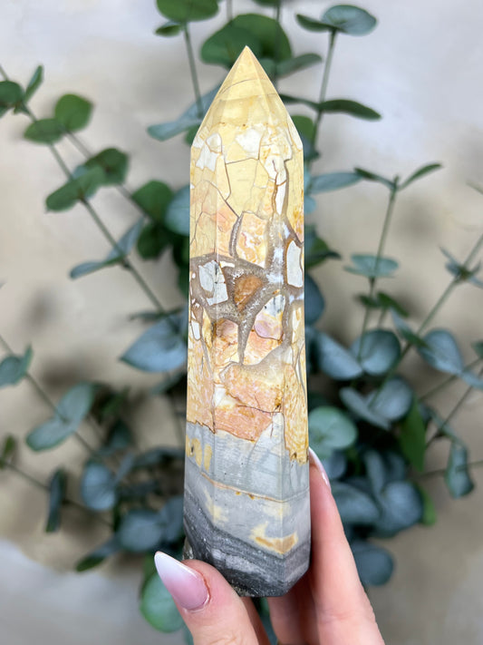 Ibis Jasper Tower (36EU)