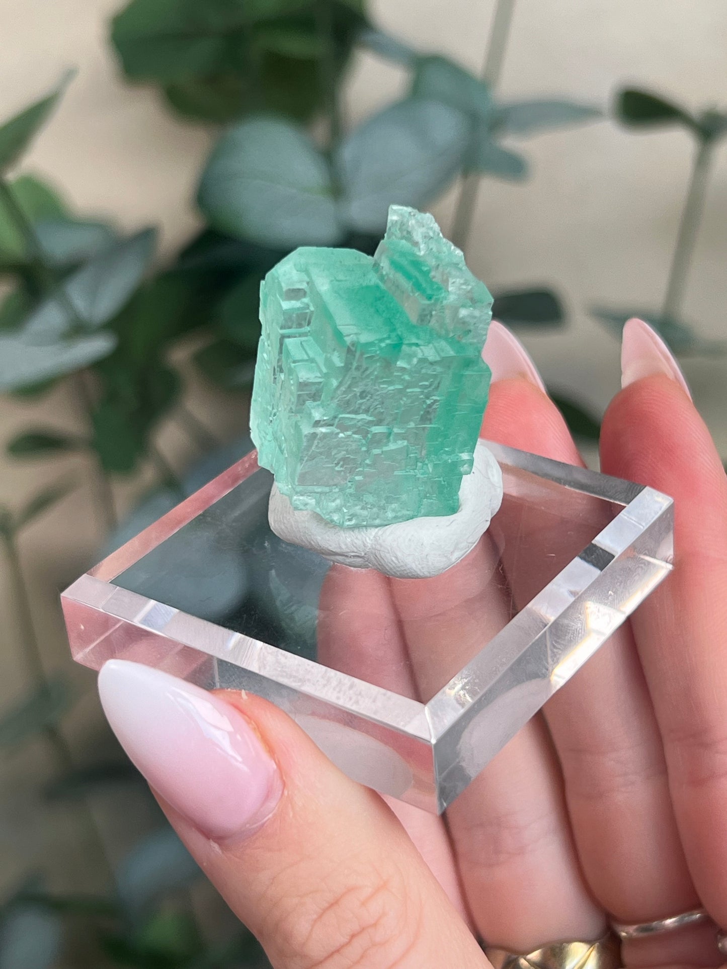 Green Halite with Display Block (65KJ)