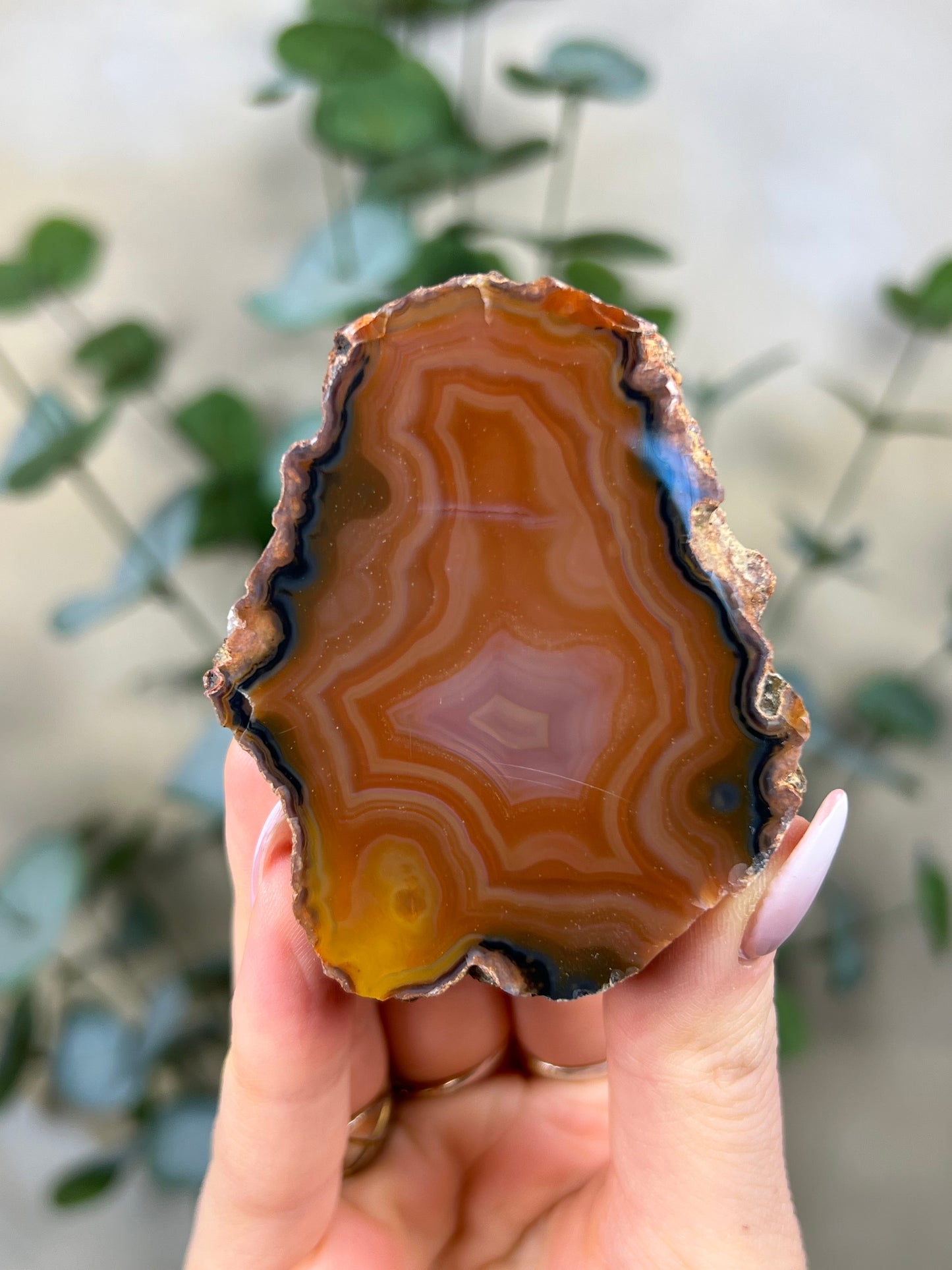 Condor Agate (108EB)