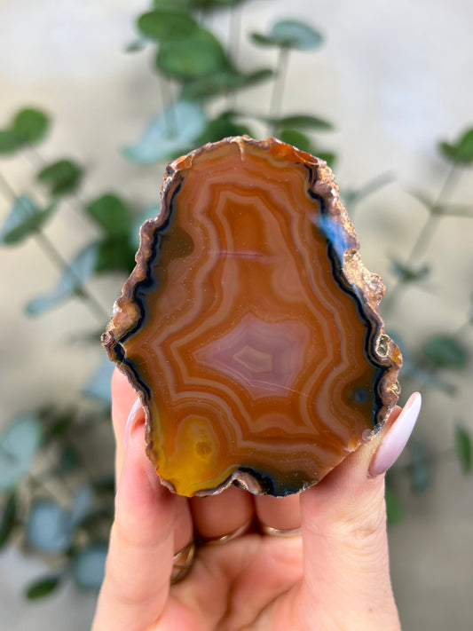 Condor Agate (108EB)