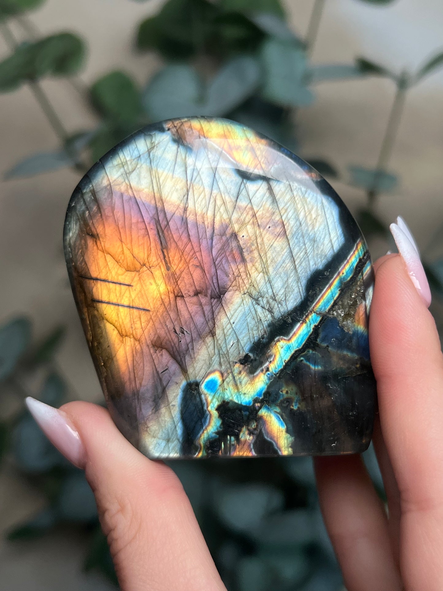 Labradorite Freeform HQ (113KD)