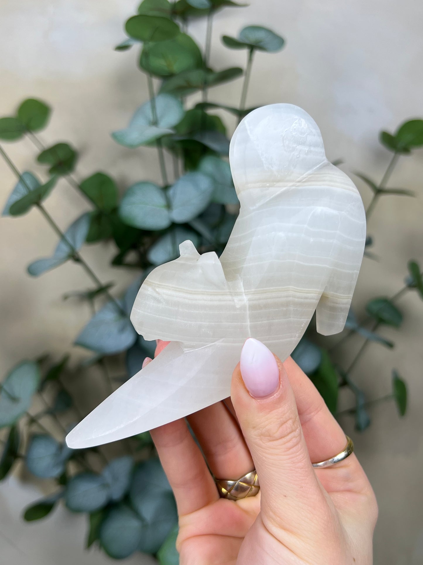 Calcite Stretching Cat (23GG)