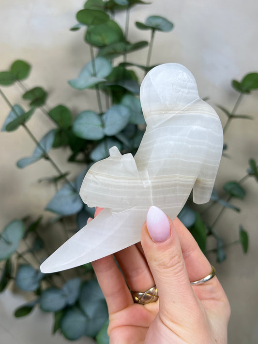 Calcite Stretching Cat (23GG)