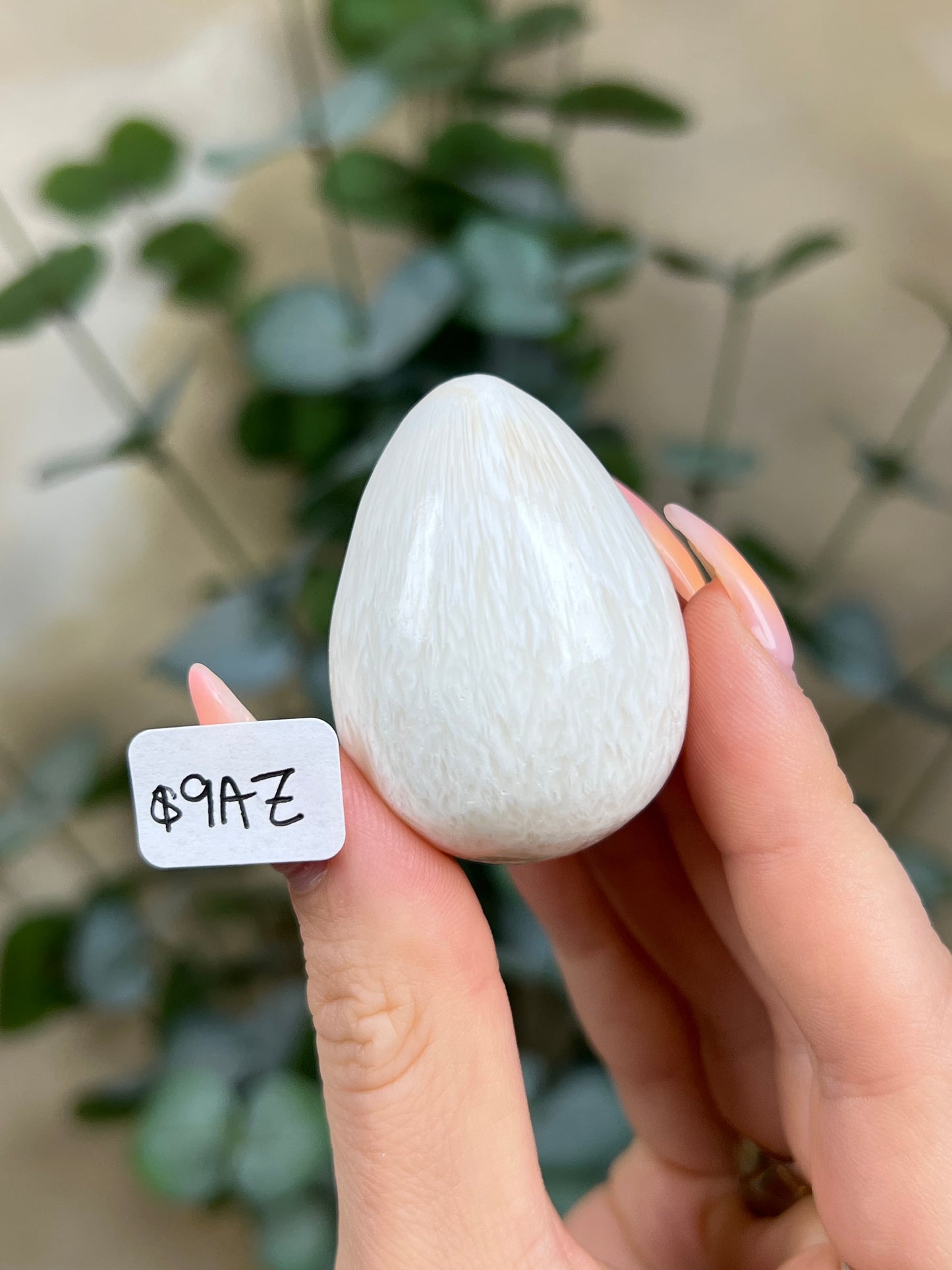 Scolecite Eggs (9AZ, 22AI)