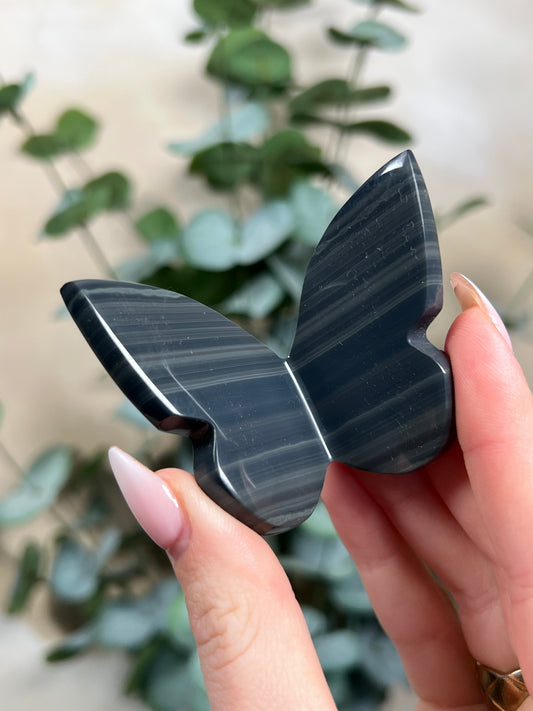 Platinum Obsidian Butterflies