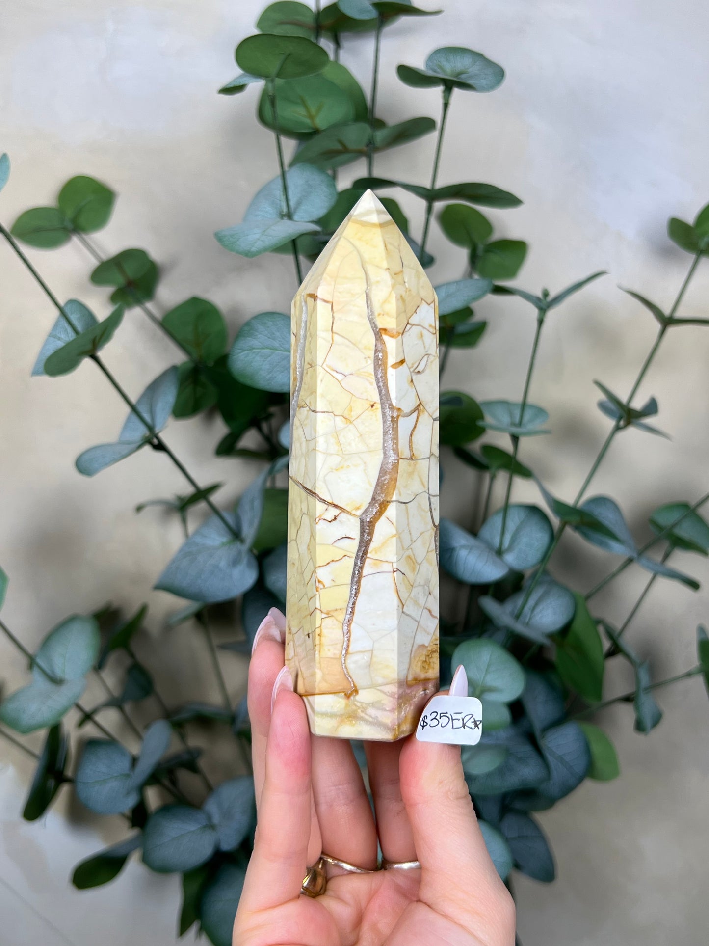 Ibis Jasper Towers (35ER, 36EX)