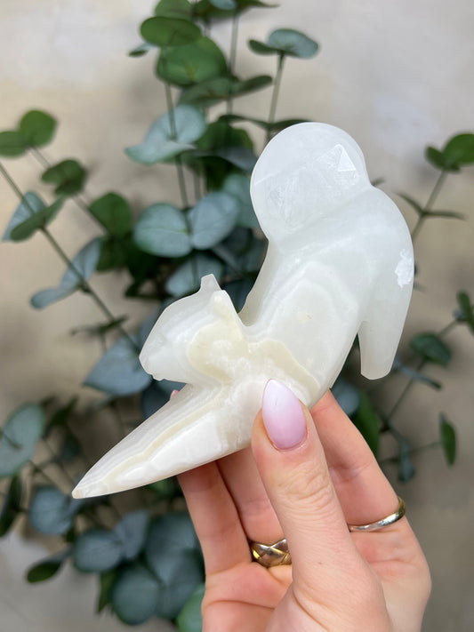 Calcite Stretching Cat (23GD)