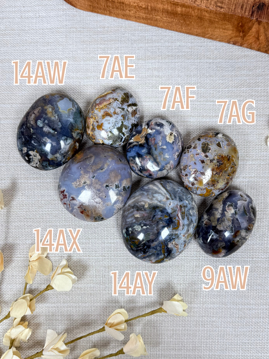 Cosmic Jasper Palms (7 options)