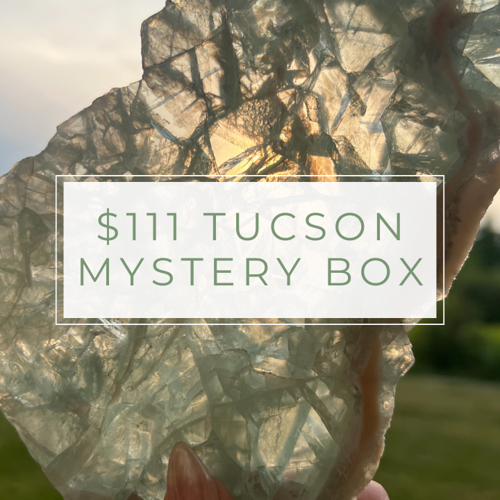 $111 Tucson Mystery Box