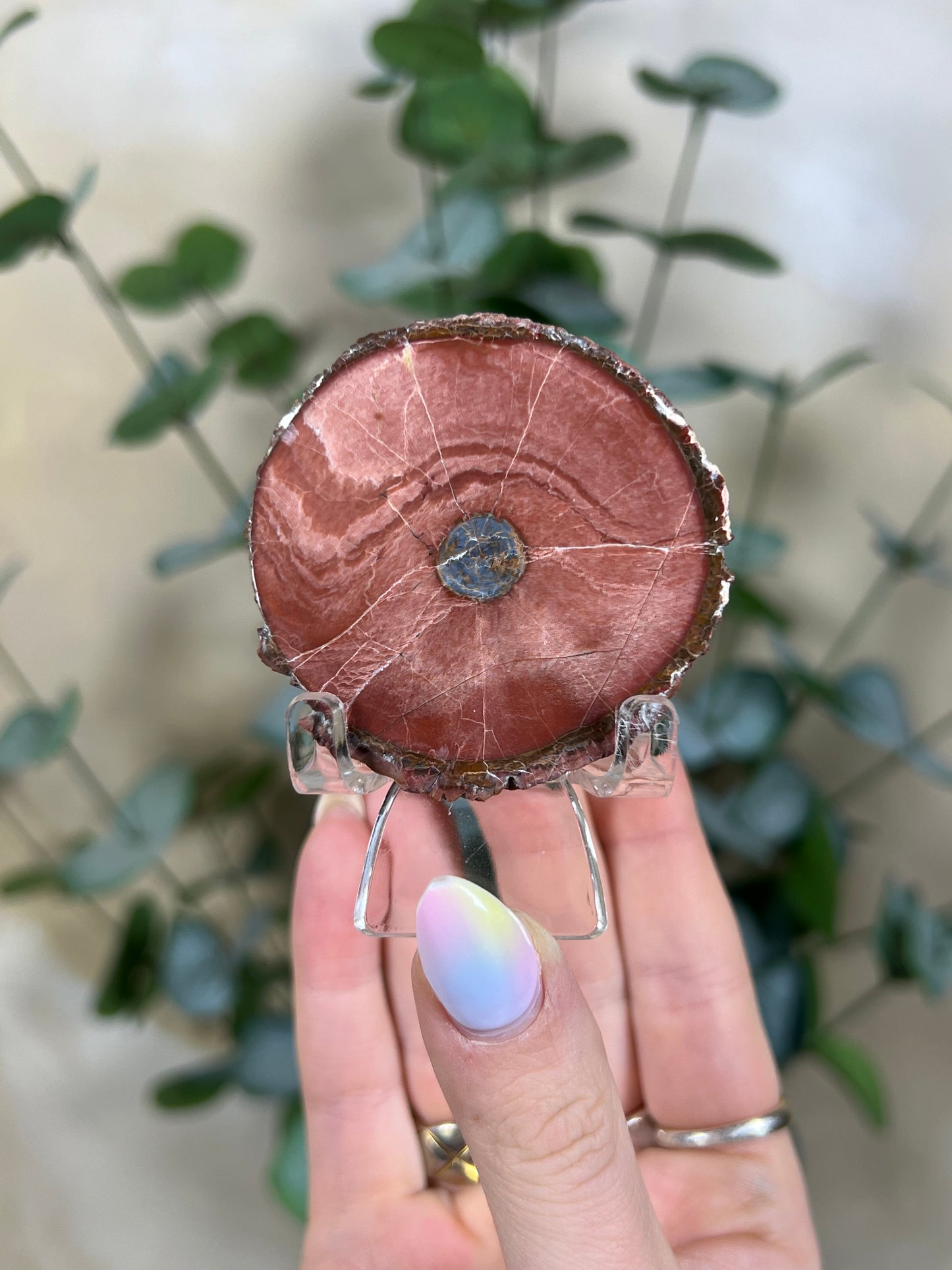 Argentinian Orbicular Jasper (59AA)