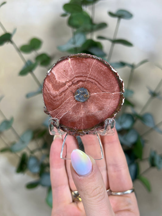 Argentinian Orbicular Jasper (59AA)