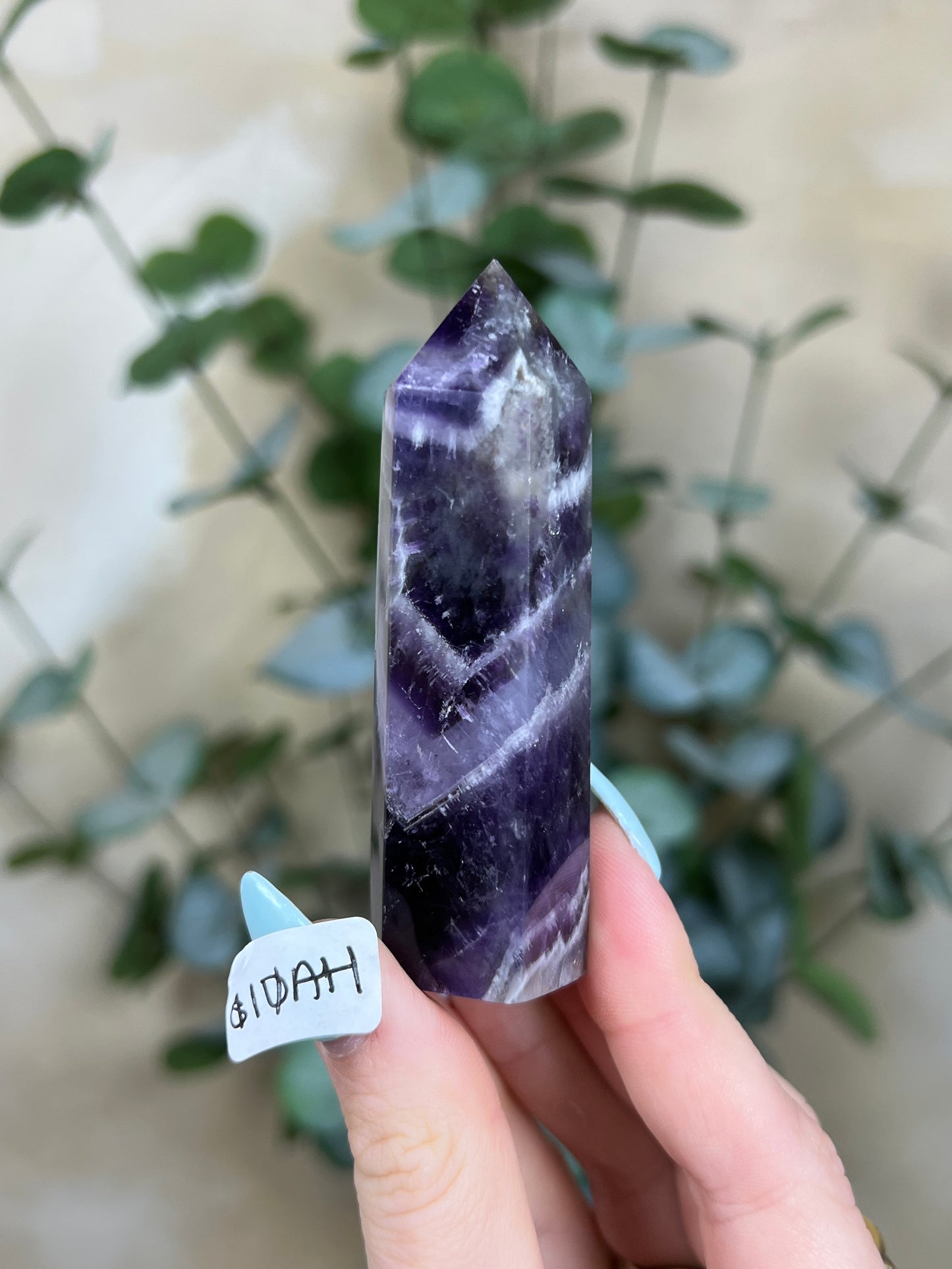Amethyst Towers (10AE-10AH)