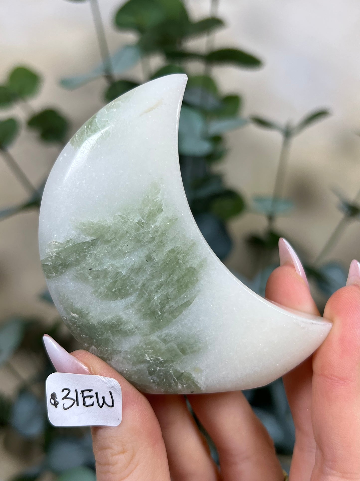 Green Kyanite in Quartz Standing Moons (30FH, 31EW)