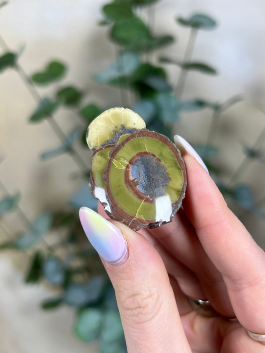 Argentinian Orbicular Jasper (33AA)