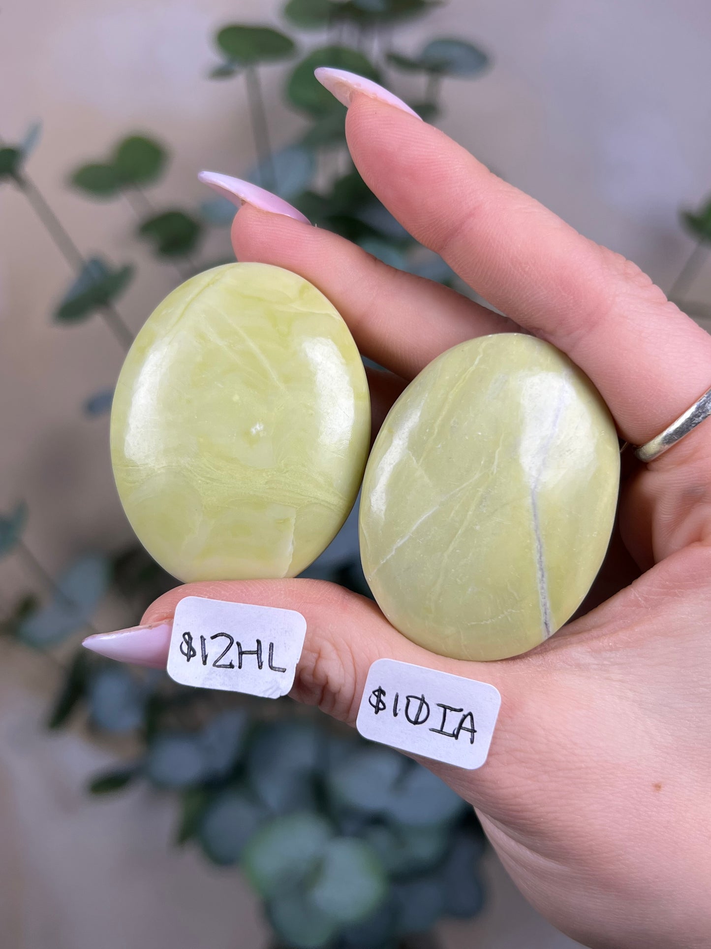 Serpentine Palms, India (8 options)