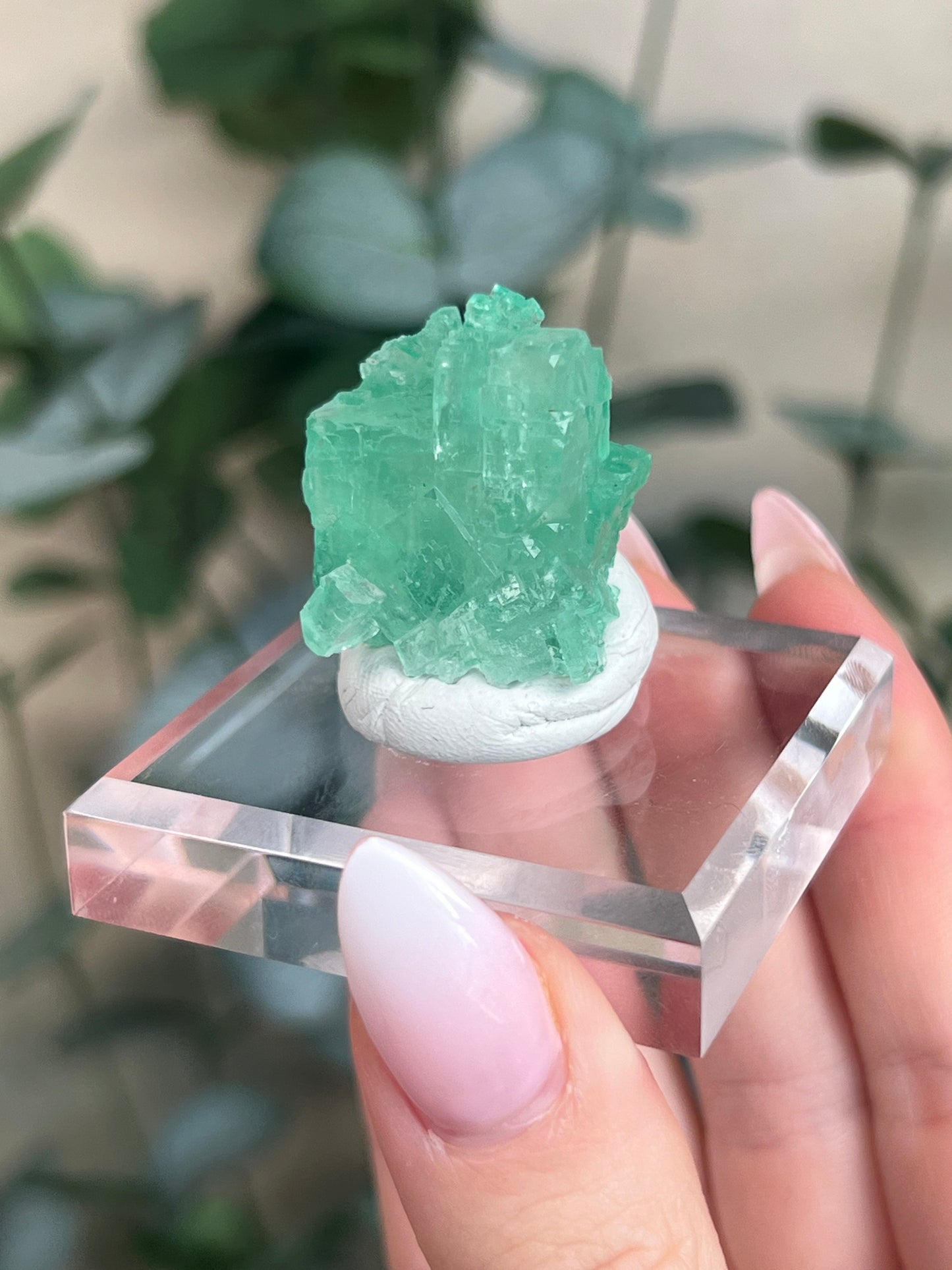 Green Halite with Display Block (70KH)