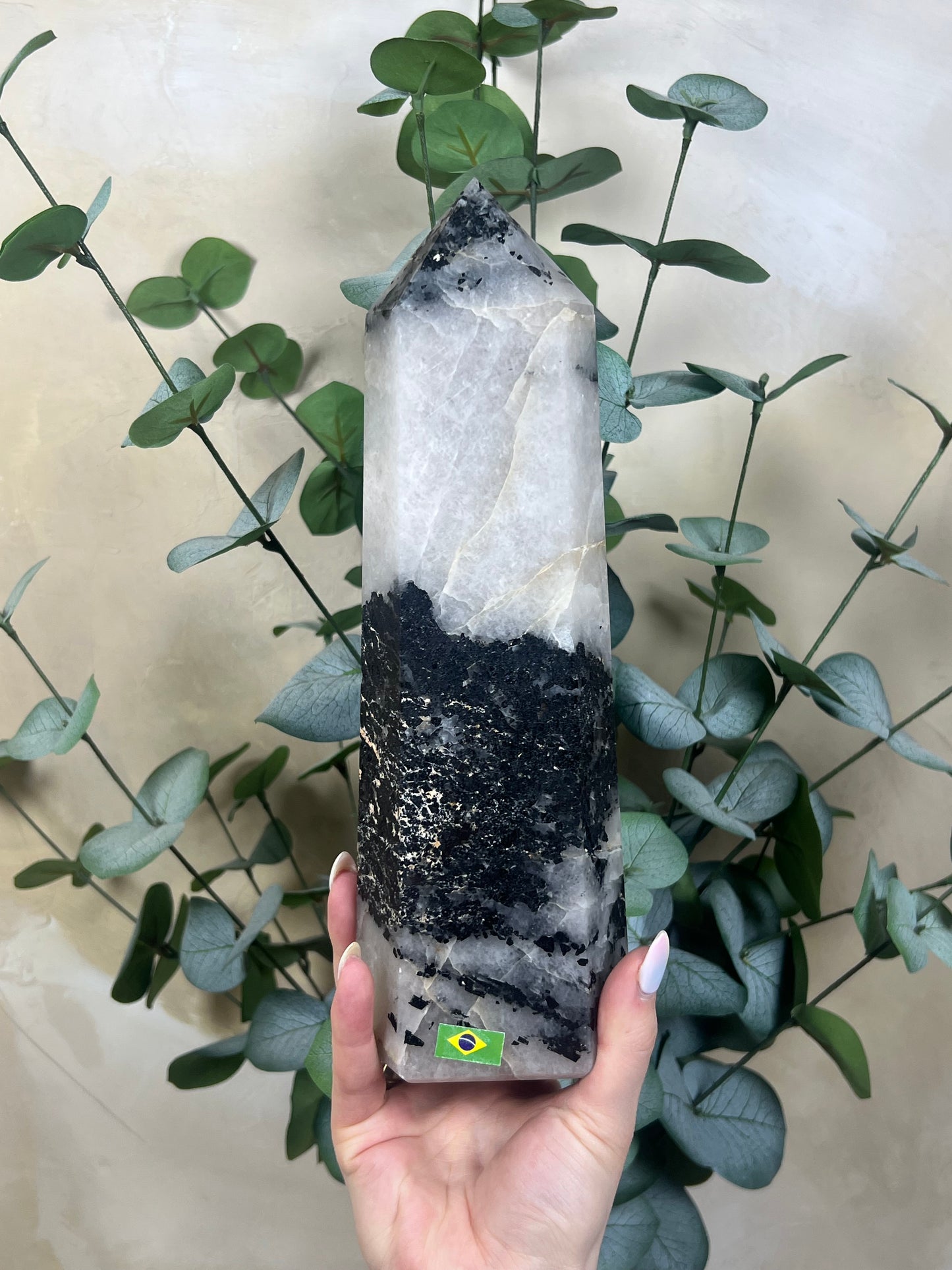Tourmaline in Quartz Tower (224AA)
