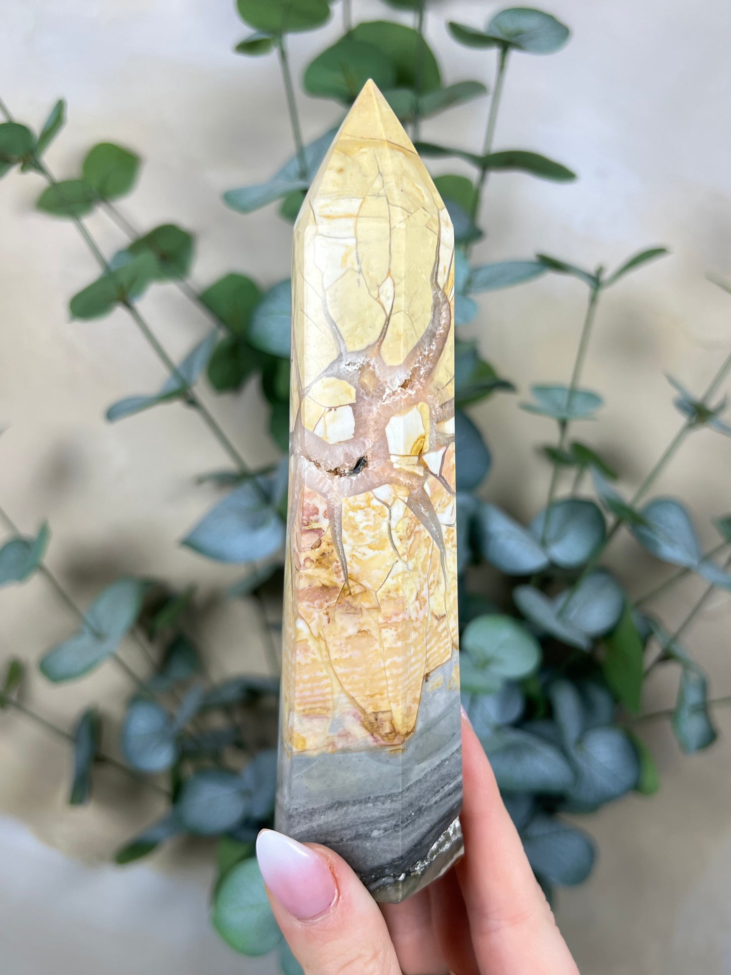 Ibis Jasper Tower (36EU)