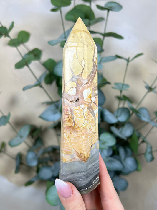 Ibis Jasper Tower (36EU)