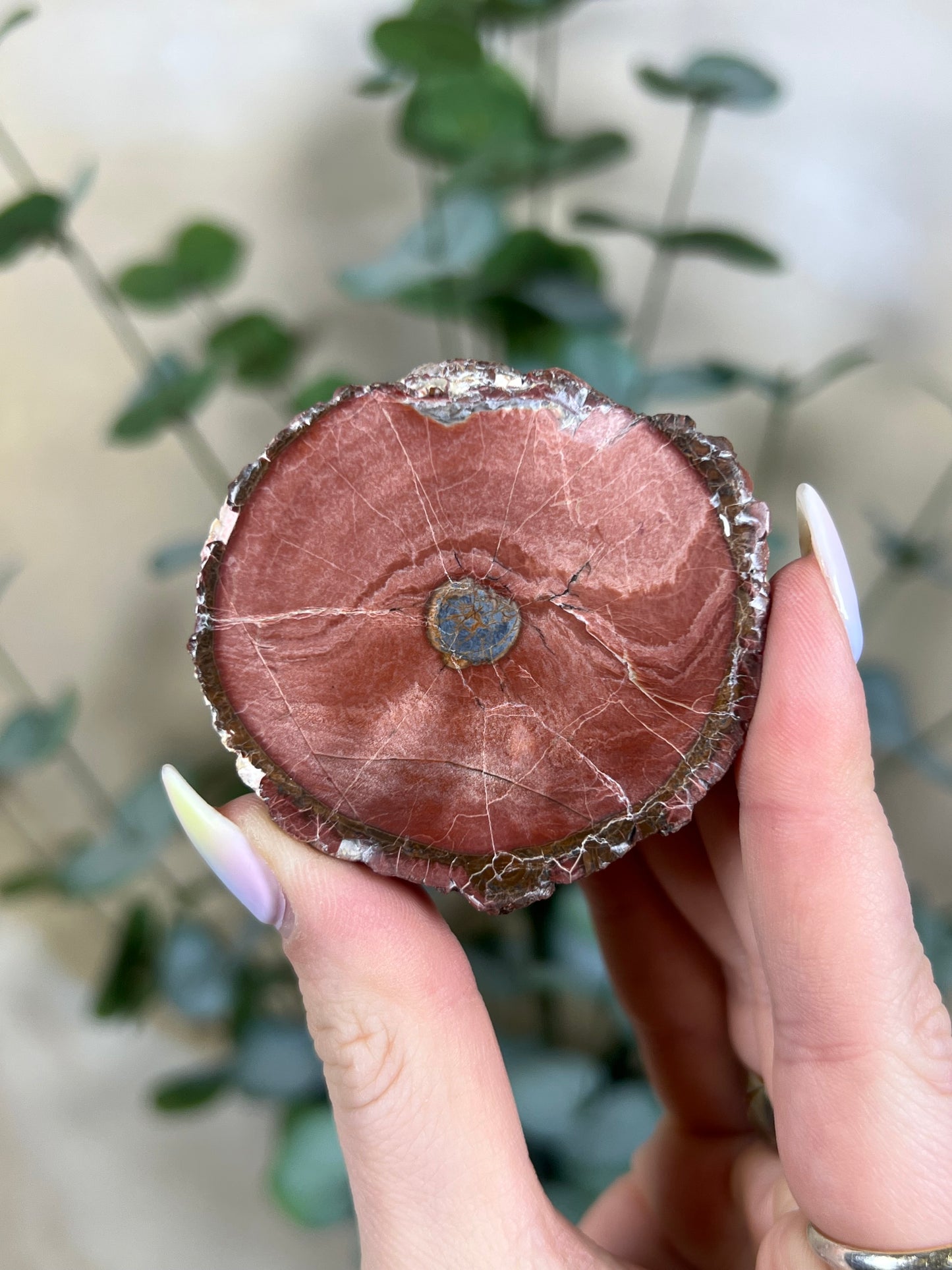 Argentinian Orbicular Jasper (59AB)