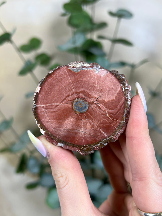 Argentinian Orbicular Jasper (59AB)