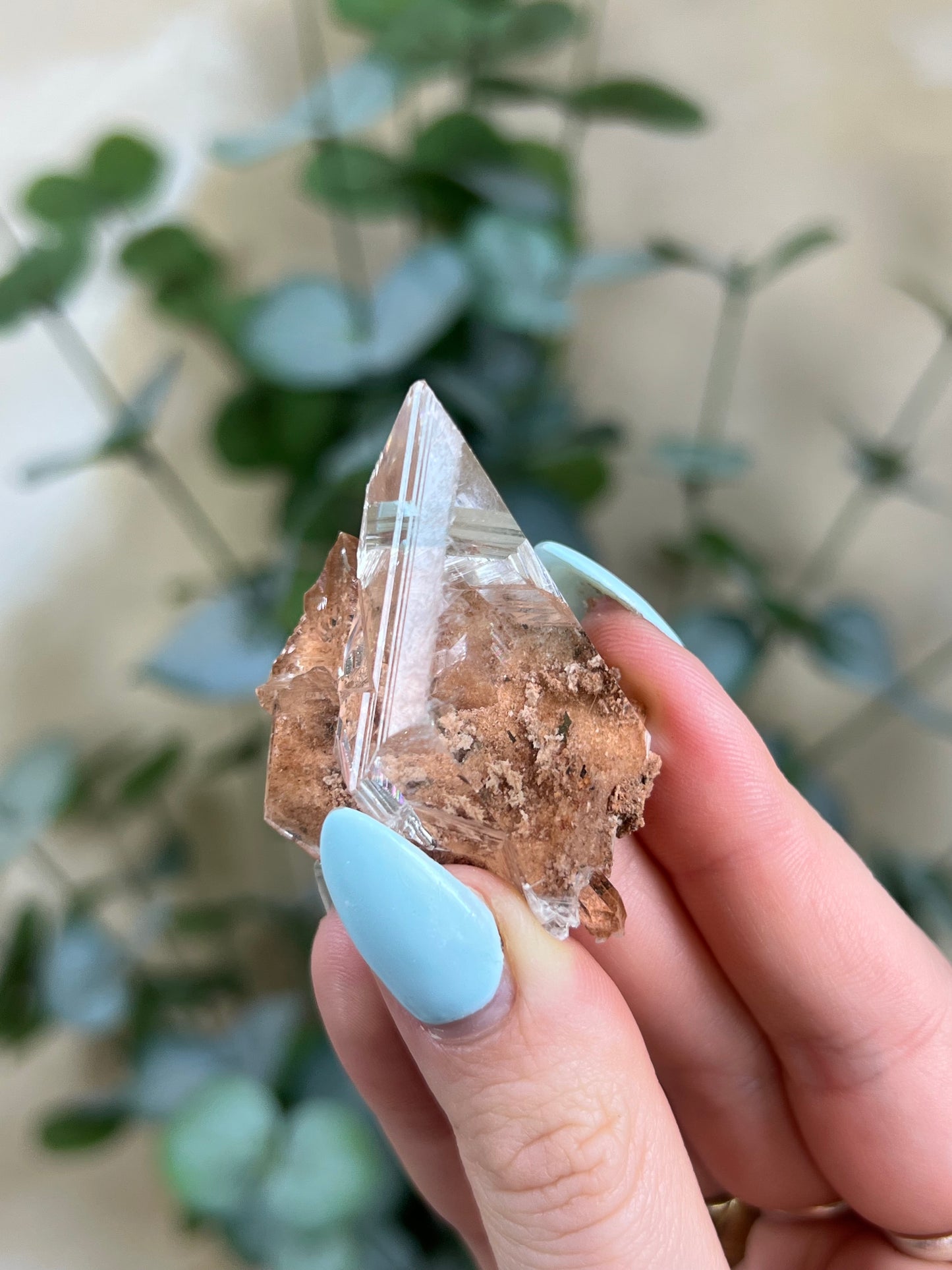 Durango Selenite (123EA)